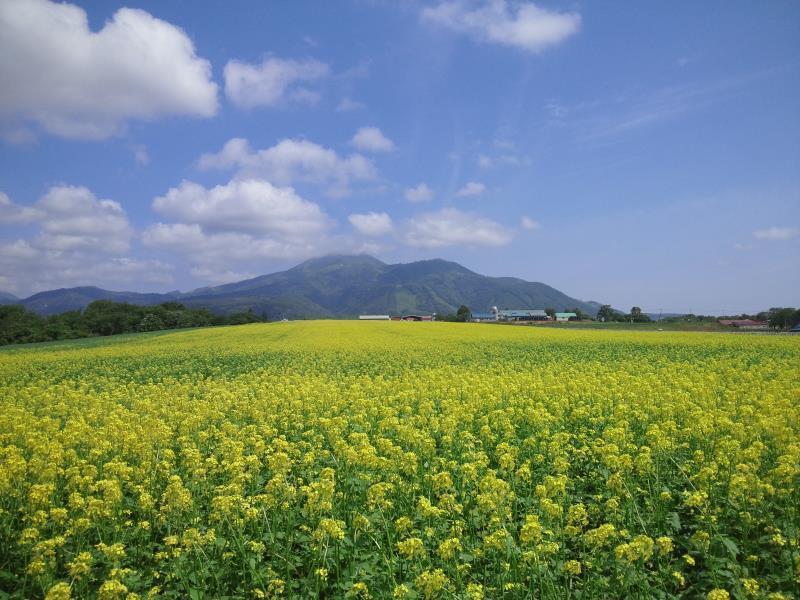 Hostel Karimpani Niseko Fujiyama Exterior foto